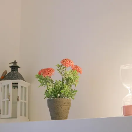 H11 [sanremo Casinò] - Centro - Parcheggio Appartamento *